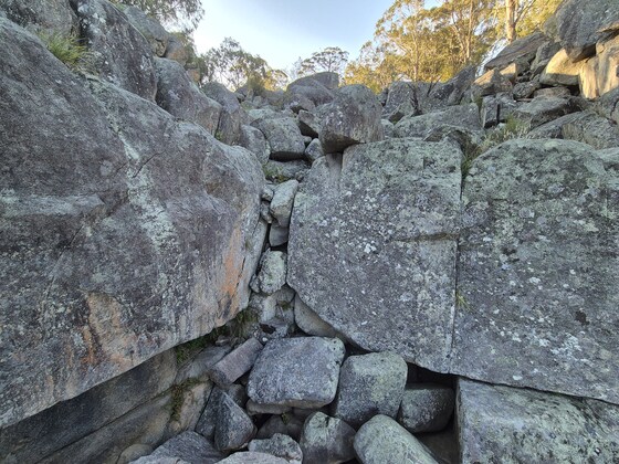 Gara Gorge End of trimester 2 Celebration - Hike and Picnic