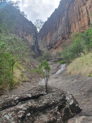 Mt Kaputar Camping