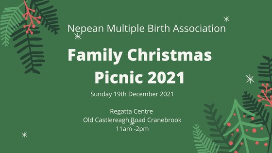 Nepean Multiple Birth Association Christmas Picnic 