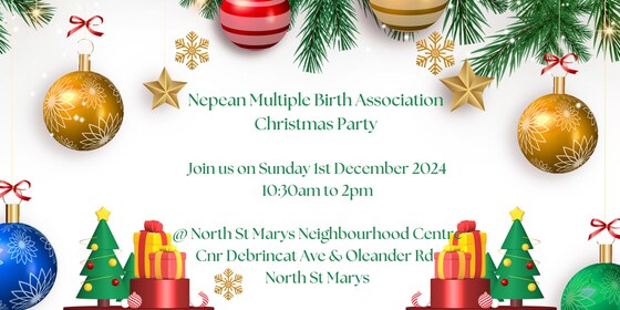 Nepean Multiple Birth Association Christmas Party 2024
