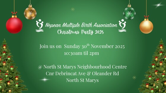 Nepean Multiple Birth Association Christmas Party 2025 
