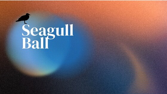 2024 Seagull Ball