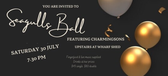 Seagulls Ball