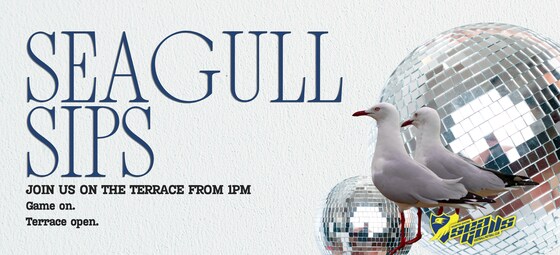 SEAGULL SIPS l Join us on the Terrace