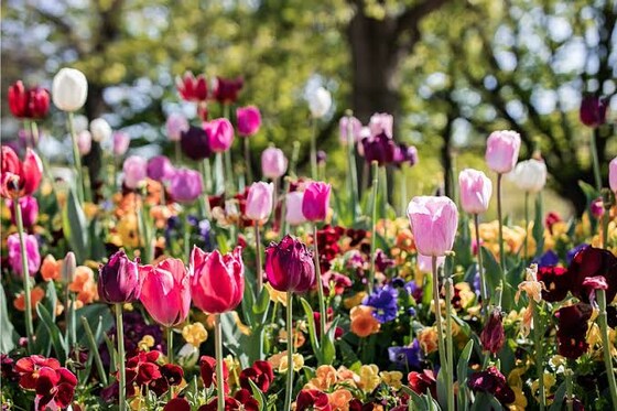 Floriade Catch Up
