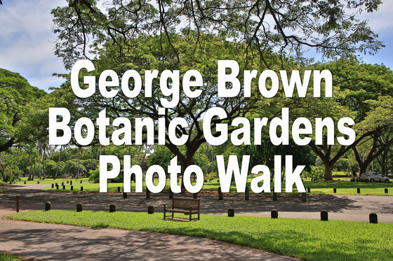 George Brown Botanic Gardens Photo Walk 
