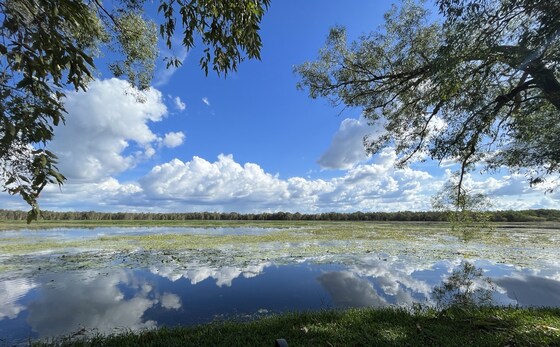 McMinns Lagoon Reserve Outing