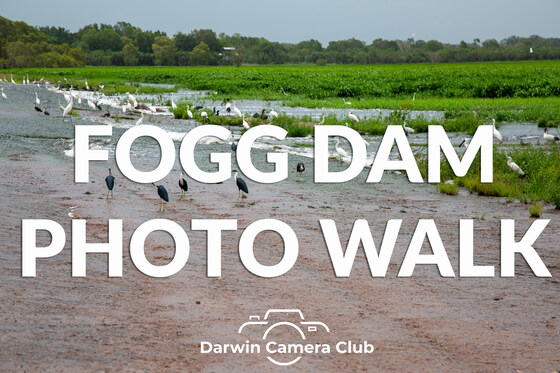 Fogg Dam Photo walk