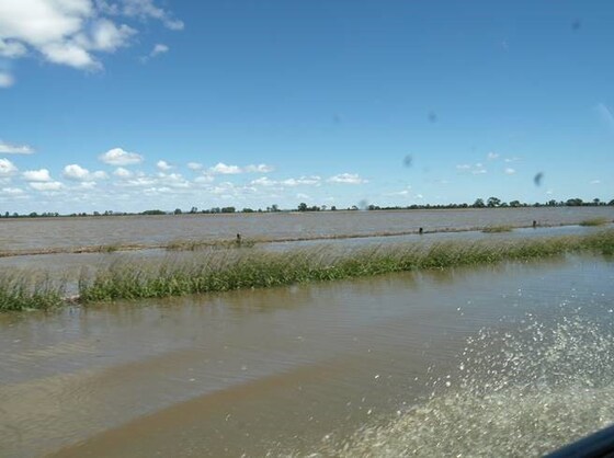 Serpentine Flood Damage Working Bee