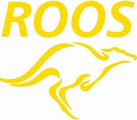 Under 13s and 15s Presentation Afternoon