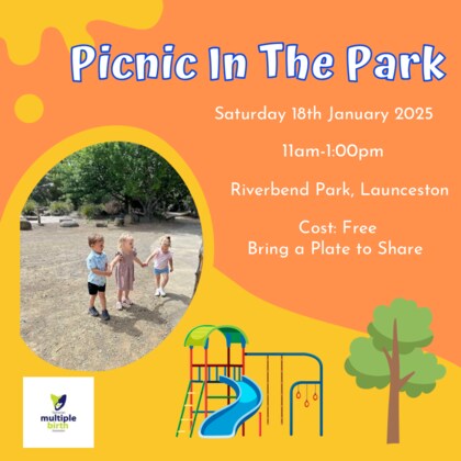 Northern Picnic In The Park 