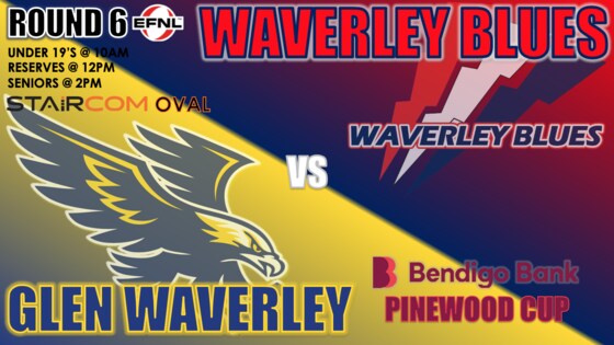 R6 Home Game v Waverley Blues