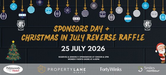 Christmas in July Reverse Raffle