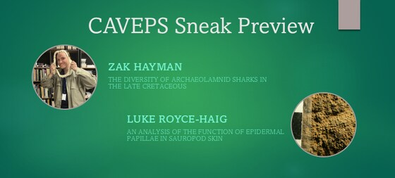 Monthly Seminar - CAVEPS Sneak Preview