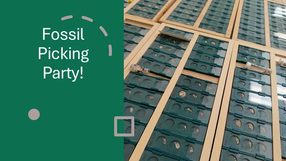 Fossil Picking Party!