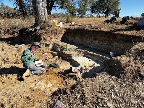 Palaeo Seminar - Volunteering opportunity!