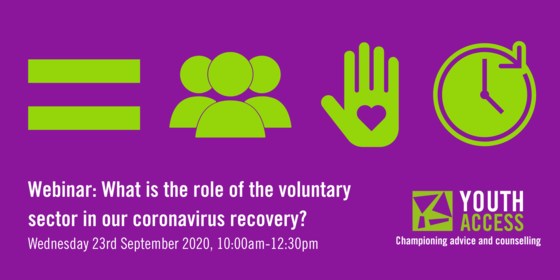 Webinar: What is the role of the voluntary sector in our coronavirus recovery?