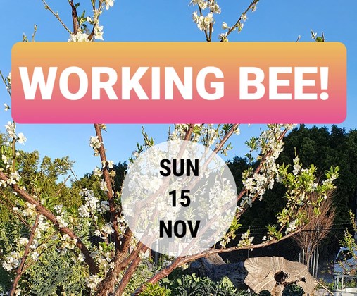 Pentridge Spring Working Bee