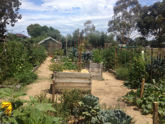 WBCG: Working bee & restocking compost juice 