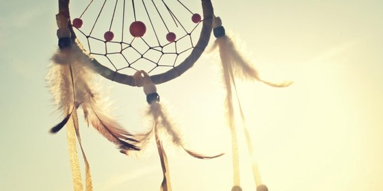 Staying Awake in the Digital Dream: Insights into Lucid Dreaming