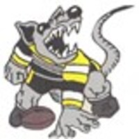 Central Australia Juniors