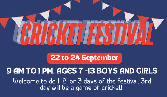 3 Day Cricket Festival