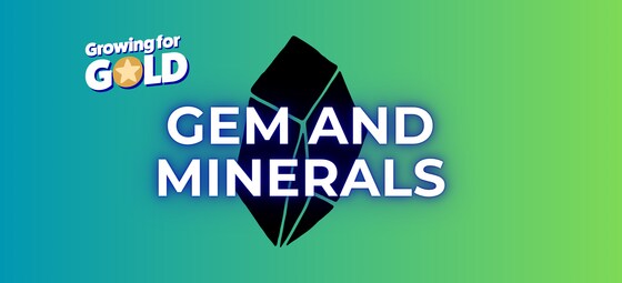 Gem and Minerals | Ages 15-16 | Northern Districts Gem and Mineral Club