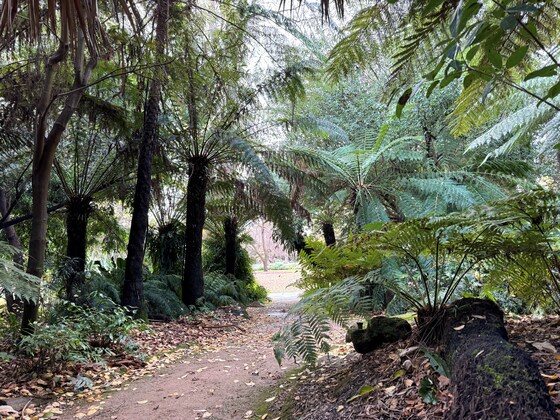 Themed Guided Walk - The Fernery