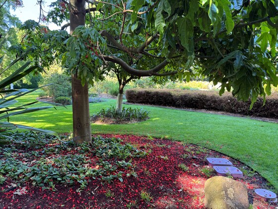 THEMED GUIDED WALK ‘ENVIRONMENTAL CHANGES & PLANT ADAPTION’                       