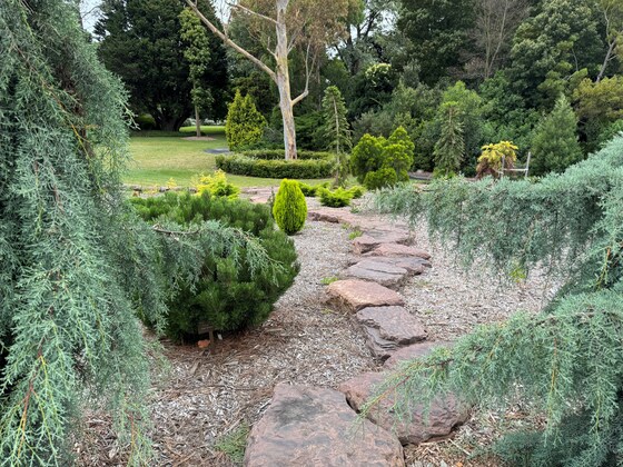 THEMED GUIDED WALK 'PACIFIC RIM'