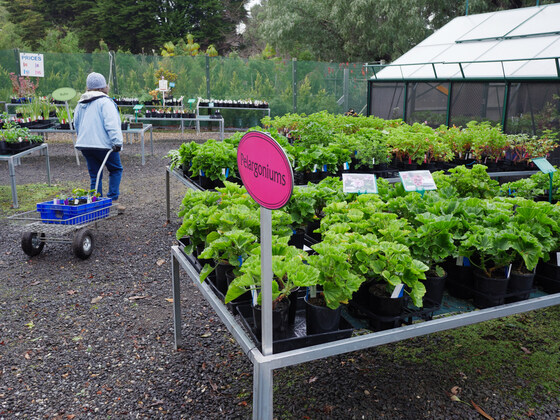 SATURDAY PLANT SALE 