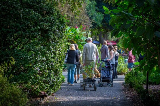 SATURDAY PLANT SALE