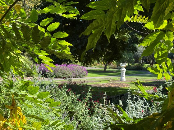 SENIORS WEEK - Free Guided Walk and Morning Tea - 25 Feb 2027