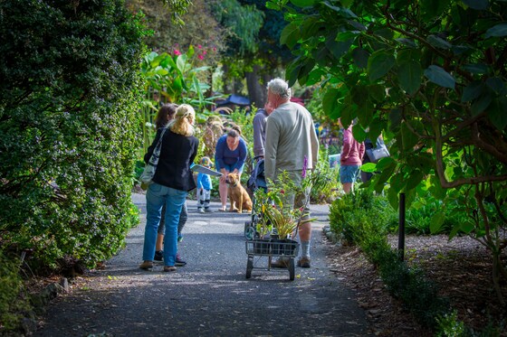 SATURDAY PLANT SALE