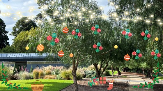 FRIENDS' CHRISTMAS PICNIC