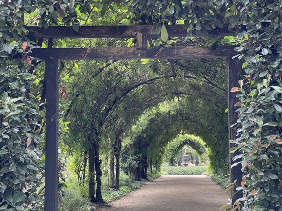 Yarra Valley Coach Tour to Alowyn Gardens and Antique Perennials Nursery and Show Garden