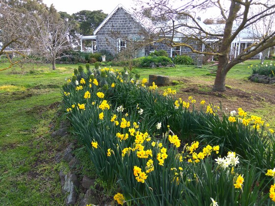 THROUGH THE GARDEN GATES
