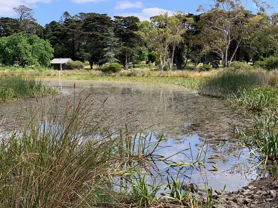 THEMED GUIDED WALK 'STORMWATER HARVESTING AND REUSE SYSTEM'