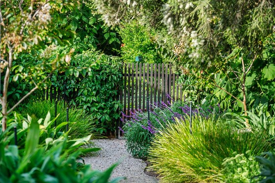 THROUGH THE GARDEN GATES