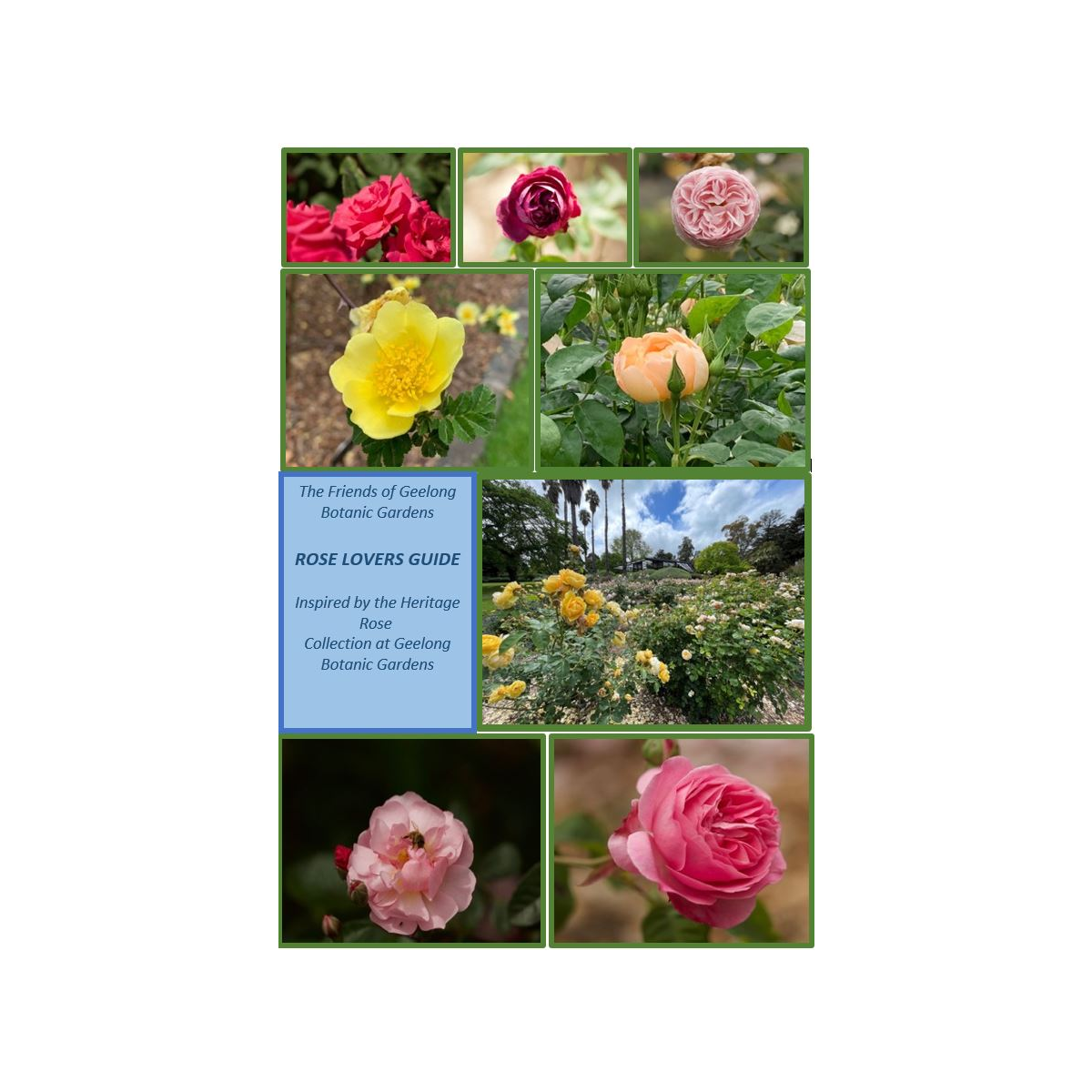 Rose Lovers Guide