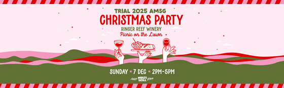 Fake Christmas Party Invite