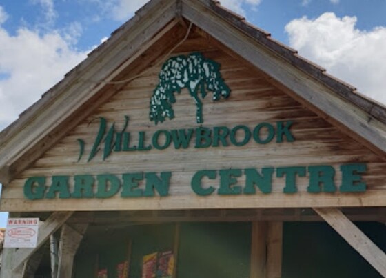 Willowbrook wiggly