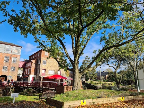 Grist Mill Cafe at Coldharbour Uffculme 