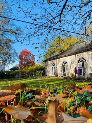 The Orangery Pop-Up Cafe, Bridwell Park, Uffculme