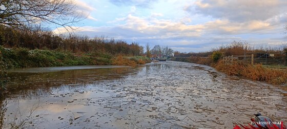 Willows & Wetlands