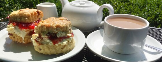 Wibbly Wobbly Willowbrook Wiggle