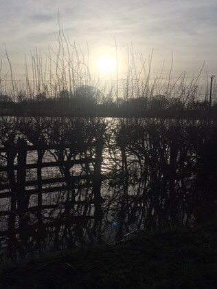 North Curry Presentation & Ride to Willow & Wetlands.