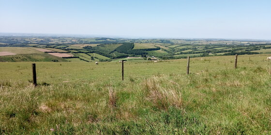 Views from Exmoor