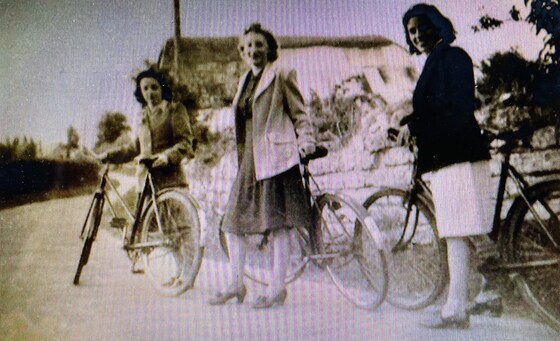 Veni Vidi Vidi Revolvitur Wivey