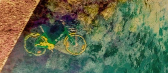 Weir Cycling